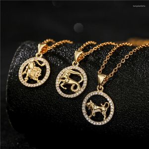 Cadenas Venta Oro Doce Constelaciones Collar Colgante Estilo Femenino Micro Incrustaciones Joyería Deseo