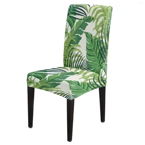 Couvre-chaises Green Tropical Feuilles Stretch Couverture pour salle à manger Spandex Sleve-couvers Banquet de mariage El