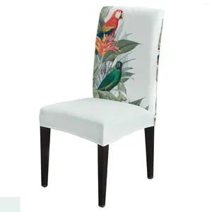 Housses de chaise perroquet Chic fleur et feuilles housse de salle à manger 4/6/8 pièces Spandex élastique housse pour mariage maison chambre