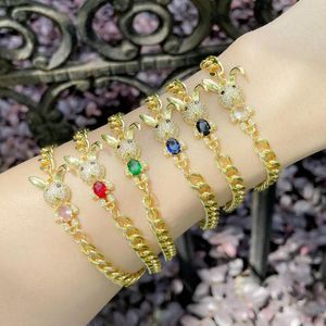 Charm Bracelets 5Pcs Chunky Gold Plated Cuban Link Cobre CZ Crystal Animal Jewelry Regalos para mujeres