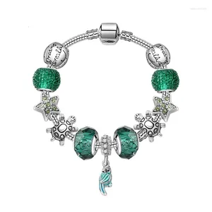 Bracelets de charme Szelam Green Starparrot Braceletsbangles for Women Jewelry Crystal Bracelet Bracelet Silver Tortoise SBR190344