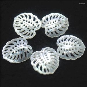 Breloques 3 pièces pendentifs en coquille d'eau salée nacre naturelle sculpture feuille 23X24MM couleurs blanches prix de gros S