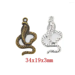 Breloques 60 pièces, fournitures artisanales de serpent, pendentifs pour bricolage, fabrication de bijoux, accessoire de fabrication 570