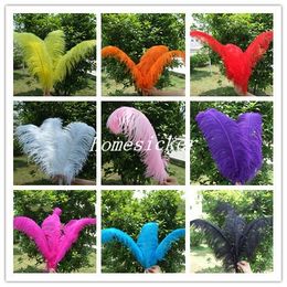 Livraison gratuite pas cher plume d'autruche 100 pièces 16-18 pouces 40-45 cm couleur mélangée plumage d'autruche