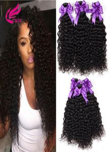 Tejido de cabello indio mongol chino 3 paquetes Virgin Kinky Curly Human Hair Weave 100 Extensiones de trama de cabello sin procesar Natural Bl4388770