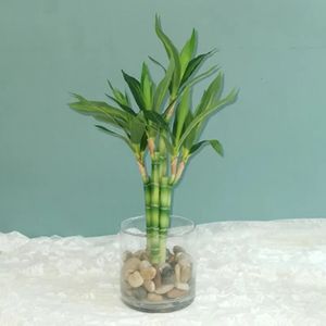 Decoraciones navideñas 40 cm rFtificial Lucky Bamboo Suculent Fake Plant Flower Green Potted Garden Mesa de comedor al aire libre Fish Tank Decoración del hogar 231215