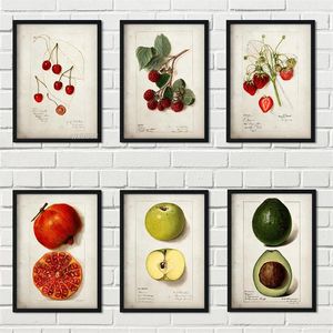Tipos de frutas clásicas Pintura de lienzo antiguo Retro frutas retro y pera impresa manzana Arte de pared de piña Cocina Decoración de comedor sin marco wo6