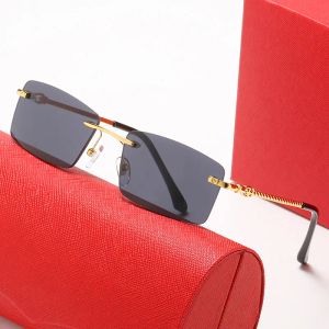 Gafas clásicas para hombre, gafas carti, gafas de sol para mujer, gafas rectangulares de leopardo, montura de gafas sin montura, gafas graduadas de primera calidad, gafas de lectura