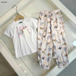 Classics Baby Tracksuits Summer Kids Designer Clothes Taille 90-160 cm Tiger Pattern Print T-shirt et divers pantalons imprimés d'animaux 24Pril