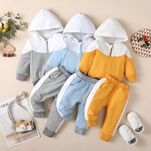 Ensembles de vêtements 2 pièces bébé né bébé filles garçons costume ensemble contraste couleur à manches longues hauts à capuche avec pantalon à glissière 0-18 mois