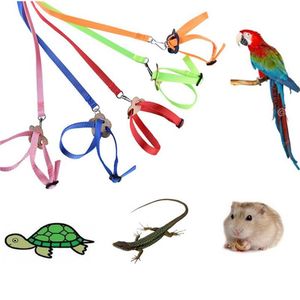 Arnés de Collar de pájaro y loro colorido, riendas de cuerda de tracción ajustable para hámster, Tortuga, lagarto, Collar en forma de 8, correa para mascota