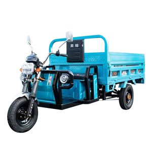 Prix de conseil en gros transport cargo électrique tricycle de cargais camion de cargais