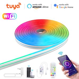Contrôle Tuya Smart Life Néon LED Strip Light Room Decor 12V RVB WiFi Wireless Control Tape LED Home Work avec Alexa Google Home