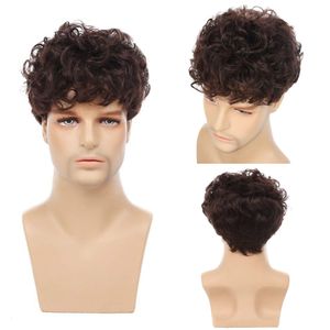 Pelucas de cosplay Gres Men Natural marrón marrón corta Wavy Fluffy Synthetic Hair Wig para uso diario Fibra de alta temperatura 230811