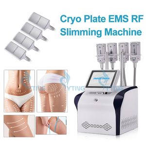 Cryo Plate Machine EMS Body Sculpting Cryoskin amincissant le système de perte de poids de forme fraîche avec 4 tampons