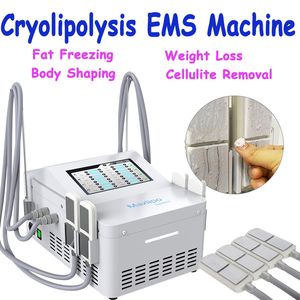 La criolipólisis adelgaza la máquina de congelación reduce la grasa EMS eliminación de celulitis pérdida de peso que forma el equipo