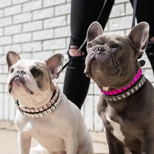 Collares de perro de cristal Joyería Bling Piedra preciosa Collar de perro de cuero para perros pequeños Medianos Taza de té Cachorro Chihuahua Yorkie Bulldog francés Boda Cumpleaños