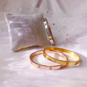 Cubique Zircon Amour Gold Bracelets Bracelet pour Femmes En Acier Inoxydable Or Rose Or Bracelets Simple Élégant Luxe En Gros Q0717