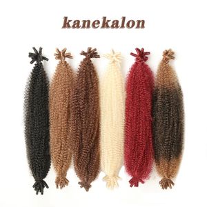 Cheveux bouclés au Crochet Afro printemps torsion doux rouge brun synthétique Kanekalon tresses Crochet tressage Extensions de cheveux pour femme filles