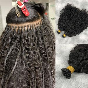 Curly I Tip Extension de cheveux Real Remy Human Hair Pré-collé I-tip Natural Black Microlinks 4a extensions de cheveux bouclés Itip 100g