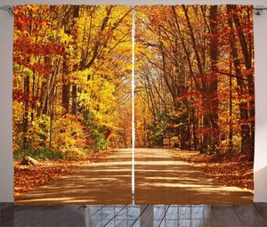 Rideaux Rideaux Rideaux D'automne Pour Salon Vue Panoramique À L'extérieur Chaussée Vide Entourée D'arbres À Feuilles Caduques Image Rideaux De FenêtreCurtain