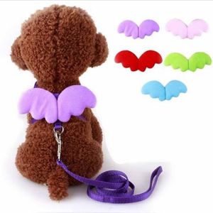 Mignon Angel Pet Dog Lashes and Collars Set Puppy Leads for Small Dogs Cats Designer Wing Harness ajusté pour chiens ACCESSOIRES PET HJ310F