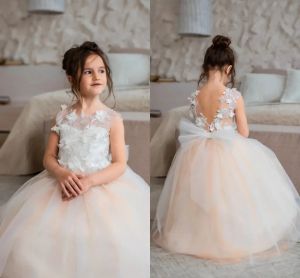 Lindos vestidos de niña de las flores Princesa Una línea Sin mangas Cuello redondo transparente Niños Niños pequeños Fiesta de cumpleaños formal Vestidos de primera comunión con marco por encargo BC15571