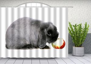 Rideaux de douche de lapin gris mignon animal drôle animale mange de pomme de salle de bain baignoire étanche rideau de tissu en polyester avec des crochets pas cher1005325