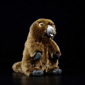 Marmota bonita de la vida Real, juguete de peluche, muñeca Sciuridae suave, Animal realista, perro de la pradera, juguete de peluche para niños, regalo de marmota de Navidad Kawaii Q0727