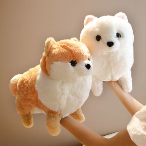 Mignon poméranien chien en peluche 50/60cm peluche Animal doux belle chien sieste oreiller cadeau de noël pour enfants Kawaii saint valentin présent