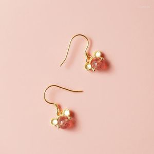 Boucles d'oreilles pendantes avec crochet mignon, cristaux de fraise, bijoux de souris, vente en gros, cadeau esthétique, charme coréen pour femmes, 2023