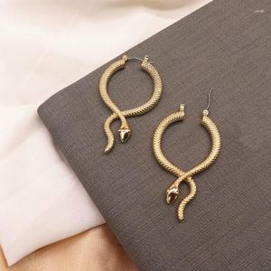 Pendientes colgantes de serpiente exagerada para mujer, accesorios de joyería Retro, Animal de ganchillo, venta al por mayor