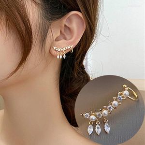 Boucles d'oreilles pendantes en strass pour femmes, longues pampilles, goutte de perles, bijoux de déclaration, accessoires en cristal