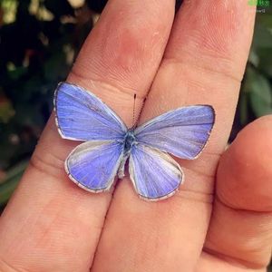 Figurines décoratifs réels ornements de papillon ont répandu leurs ailes libellules insectes créatifs cadeaux d'anniversaire pour les étudiants