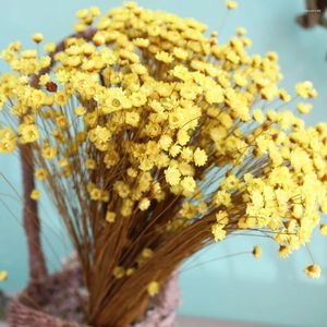 Flores decorativas 100 piezas de jalea de flores secas, decoración del hogar, flores naturales para decoración