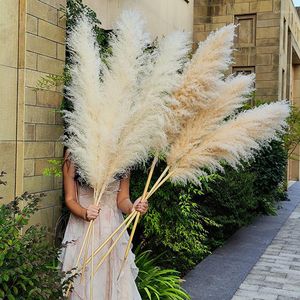 Flores decorativas 120 cm Flor seca natural Reed Pampas Grass Boho Decoración para el hogar Decoraciones de boda Fondo de granja