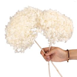 Flores decorativas 2 peças de hortênsia branca preservada seca natural hortênsia real para vaso boho casa mesa de casamento chá de bebê decoração de festa