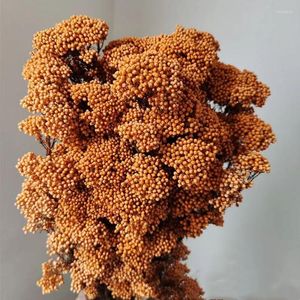 Fleurs décoratives 50g Naturel Millet Fruit Fleur Séchée Artificielle Pour La Décoration De Mariage Saint Valentin Idées Cadeaux Décor De Pâques 2023 Pampas Gra