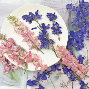 Fleurs décoratives 60x pressé séché naturel violet / rose Gaura Lindheimeri Plantes de tige de fleur