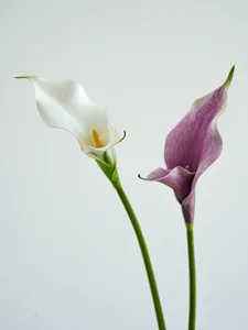 Fleurs décoratives fleur artificielle Double pétale Calla Lily PU violet pour la décoration de la maison longue tige arrangements floraux de mariage