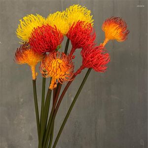 Flores decorativas Plantas artificiales Sudafricano Acerico Flor Hogar Jardín Decorar
