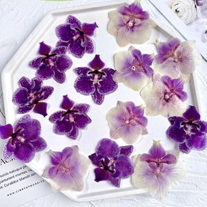 Fleurs décoratives orchidée papillon séchées et plantes pour décoration de lampe de bureau, 20 pièces par Lot, livraison gratuite