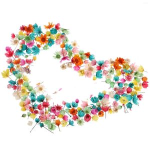 Flores decorativas, artesanías de flores secas, cabeza de estrella pequeña, pegamento de cristal artesanal sin poste, bola de cristal, Color de relleno, decoración rosa