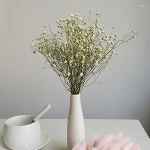 Flores decorativas Gypsophila de alta calidad Ramo seco en 12 colores Brote real para la fábrica de decoración del hogar de bodas Ventas directas