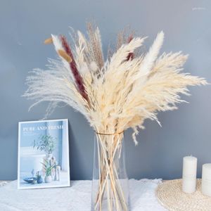 Fleurs décoratives Plume d'herbe de Pampas naturelle décoration de la maison plantes de roseau moelleuses arrangement de fleurs de mariage pour bouquet bohème bricolage séché