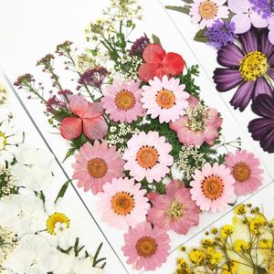 Flores decorativas naturales prensadas y secas, planta conservada en seco para hacer manualidades, álbum de recortes, tarjeta de invitación, marcapáginas, funda de teléfono