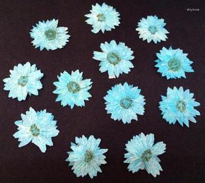 Fleurs décoratives pressées chrysanthemum plante Herbarium pour bijoux Carte d'invitation à cartes postales