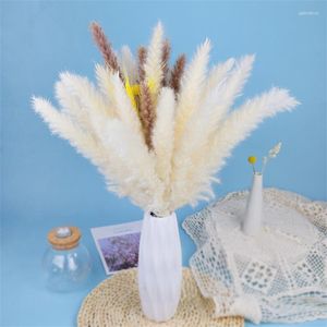 Fleurs décoratives Blanc Bulrush Pampas Grass Natural Dried Home Wedding Invité Cadeau de salon