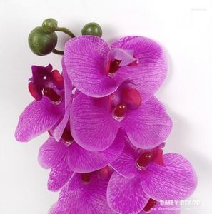 Fleurs décoratives en gros vraie touche orchidées papillon artificielles petit feutre Latex papillon orchidée mariage Phalaenopsis 12 pièces