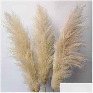 Couronnes De Fleurs Décoratives 20 Pcs / Lot Gros Phragmites Naturel Séché Décoration Herbe De La Pampa Pour La Maison De Mariage Décoration Bun Dhs3K